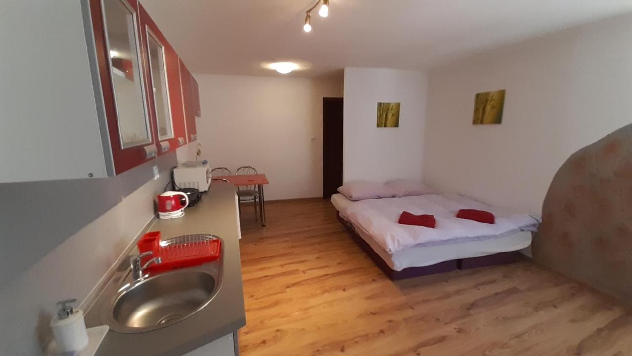 Privat Bene Apartment Vysne Ruzbachy Bagian luar foto