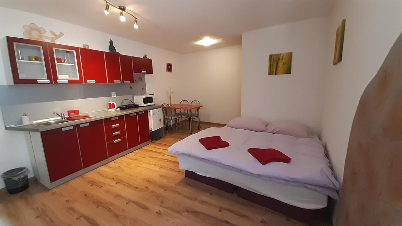 Privat Bene Apartment Vysne Ruzbachy Ruang foto