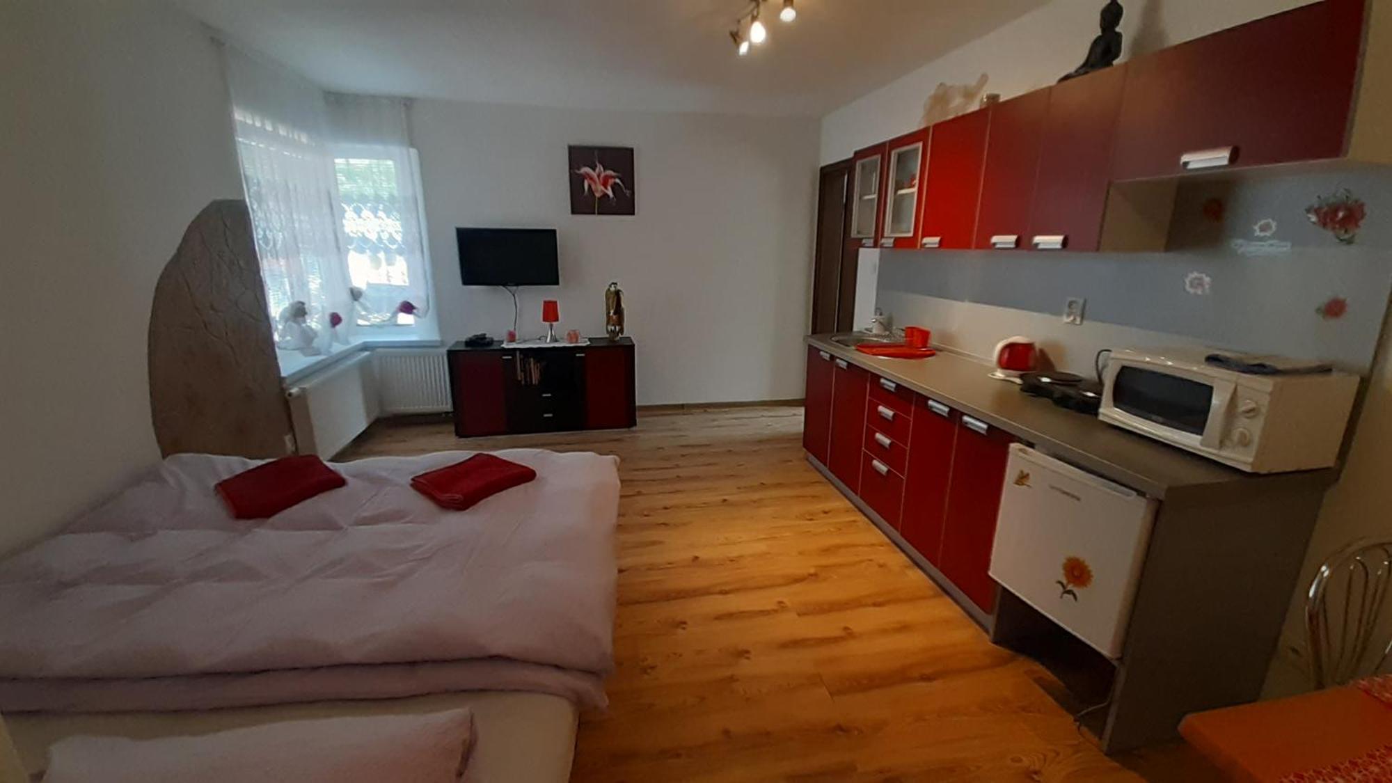 Privat Bene Apartment Vysne Ruzbachy Ruang foto